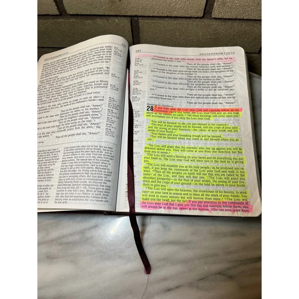 Zondervan Life Application Bible NIV Large Print Burgundy Bonded Leather